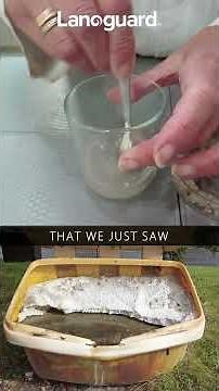 Watch Salt Water Power a Bulb 💡🚗 — The Hidden Science Behind Road Salt Rust!