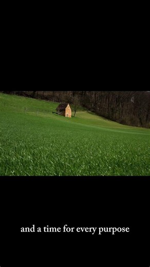 🕊️✨ To Everything There Is a Season | Turn Turn Turn | Ecclesiastes 3 #Shorts #faith