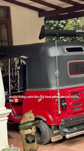 Rapunzel Modification: Extra Parts Removal Gone Wrong