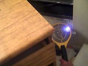 Wasp Versus Electric Fly Swatter