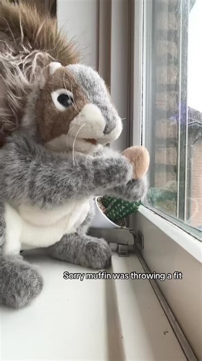 She has a new fit! #muffin🧁 #waffels🧇 #PuppetTikTok #squirrels #puppet