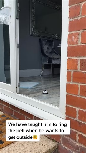 chloeandromeo on TikTok