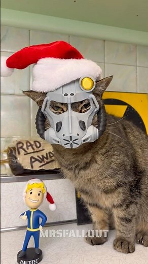 Catmeat Wears A Power Armor Santa Helmet!