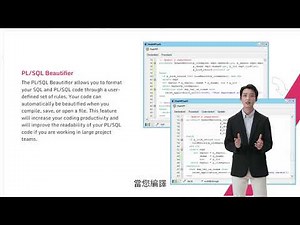Allround Automations PL/SQL Developer 產品特色介紹