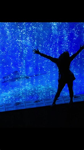 🌊👀Can you sea them? We’re excited to celebrate Pride month with some very special ocean-loving friends. Stay tuna-ed for some big splashes we can't reveal… just yet. 🦦✨ #MontereyBayAquarium #HighHeelsDeepSeas #NoShade #ComingSoon #OtterThisWorld