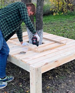 313K views · 554 reactions | Wrap Old Tree In Wood! | Science, Tech and Universe | Facebook