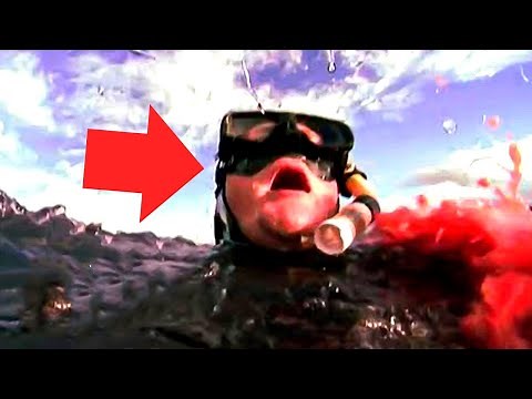 Horrifying Last Moments Of Swimmer Who Was Eaten Alive By a 14FT Great White Shark