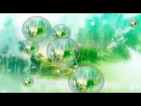 フジ子・ヘミング～幻想即興曲（ショパン）