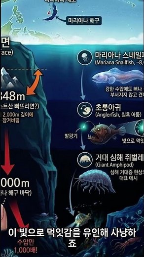 The Mariana Trench: Earth's Deepest Point and the Bizarre Creatures That Call It Home