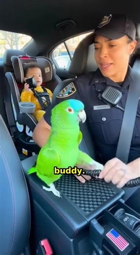 Baby Hijacks Police Radio! 👶📻🚔 Parrot's Reaction