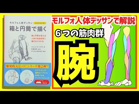 How to draw complex arms easily [Just organize the position and appearance of the six muscles] #H...