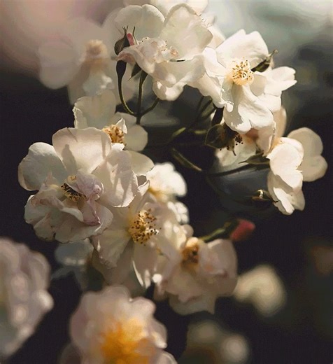 The_Spring_Edit_Mobile