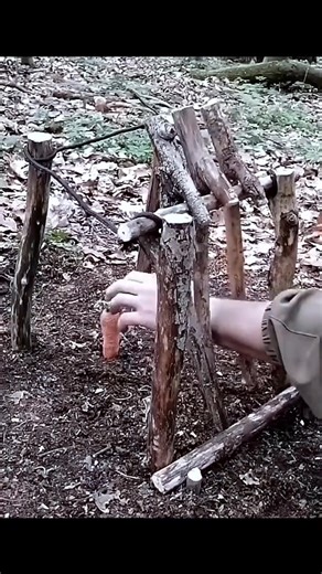 219K views · 2.8K reactions | Top 5 Create simple traps #traps #survival #survivaltips | Wild survival | Facebook