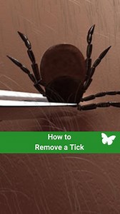 Emergency room visits for tick bites are reaching record levels this summer across the United States. Do you know how to prevent tick bites and what to do if a tick bites you? Check out the video below for everything you need to know about ticks! ⬇️ | Nationwide Children's Hospital