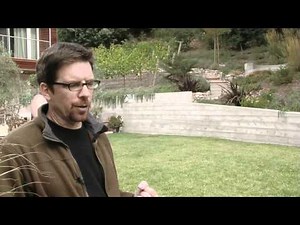 Large Backyard Landscaping