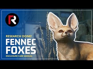 Fennec Fox | Research Done! | Planet Zoo Guide | Enclosure Design Manual