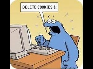 Most Popular Privacy Search Engines in 2025