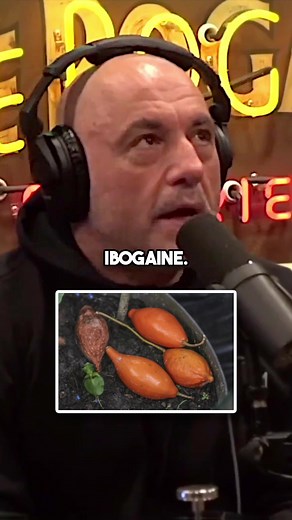 The most powerful psychedelic: Ibogaine #psychedelictok #ibogaine #psychedeliccentral