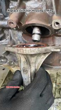 Replace Oil Filter Housing O Ring #shortvideo #shorts #short #viralshorts #tips #car #automobile