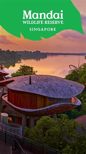 Mandai Wildlife Reserve on Reels