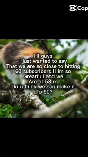 Thank you sm for all the support do you think we can make it to 60!!