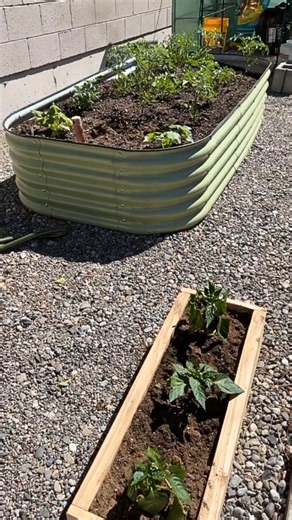 DIY scrap wood planter garden project build