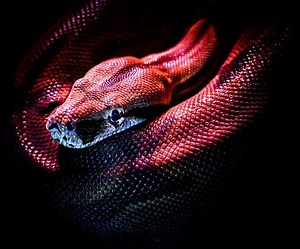 The Science of Aliens, Part 10: Will an Alien Biosphere be Toxic? – Lifeboat News: The Blog