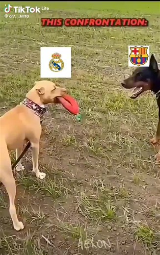 Vidéos de samos (@samos.real) avec son original - samos