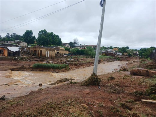SPCA Pietermaritzburg Battles Floods to Save Vulnerable Animals