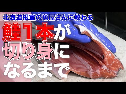 【鮭の裁き方】鮭一匹まるまるから切り身に！基本の鮭の下ごしらえを根室の魚屋さんが教えます【道東田舎暮らし】