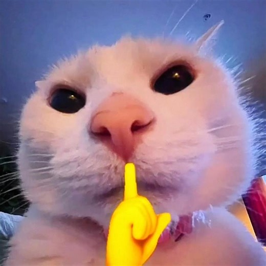 New update funny moments 😁 🤣#funnyshorts #funny #ff