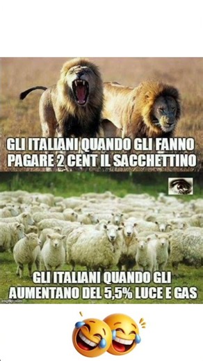 #risate#memes#humor