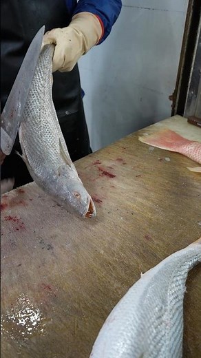 CROAKER Fish Market Frenzy: Watch an Expert Cut a Fresh Catch!