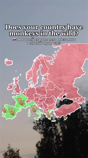 Exploring Monkey Habitats Through Geography