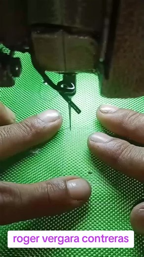 Roger Vergara Contreras : L'Art des Styles de Correspondance en Broderie