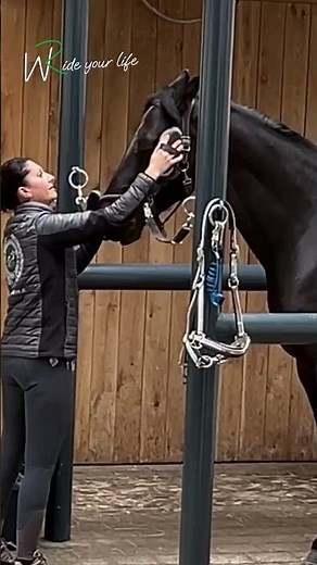 Pferdepflege verbindet Mensch und Pferd. Sie dient der Kommunikation, zur Massage und Reinigung.