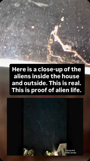 Brian Ladd on Instagram: "Breaking news, we had just discovered alien life. But believe it or not today is 21 December 2025. I have a video of them I have photos I have them under the slide. I have them outside. They arranged between a little over an inch to over 10 feet long. Here is proof again here is proof of alien life. #proof of alien life. #aliens.#breaking news#NASA#ufosighting"