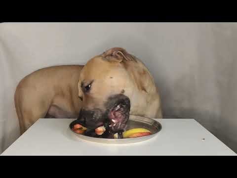 Every Crunch Hits Differently 🍎🍏 Atlas ASMR