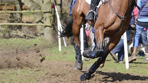 Riders to be interviewed after horse falls as part of eventing safety move