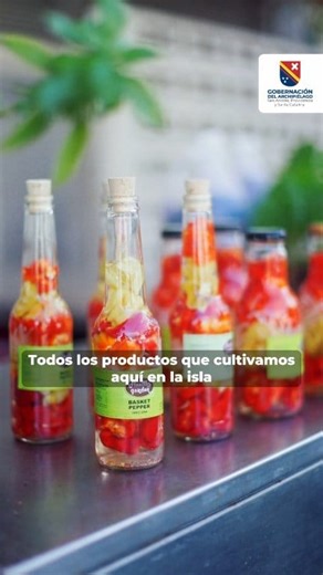 2.3K views · 50 reactions | EXPERIENCE THE FARMER MARKET OF LOVE AND...