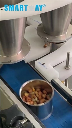 Tin can filling sealing packing line | Smart Weigh #machine #packingmachine #fillingmachine