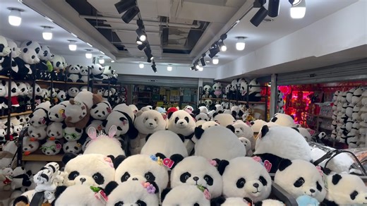 Chengdu Panda Tour @westchinago1 #chengdu #panda #tour #travel #chinaarmy