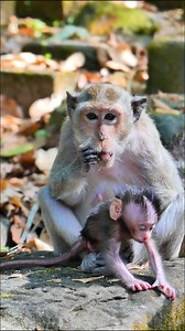 Mommy’s Heart Full of Love for Her New Baby | Alien TV