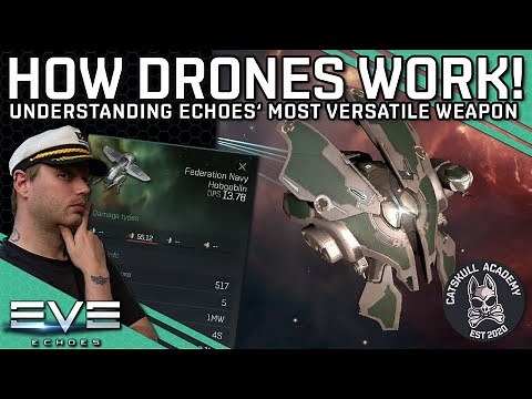How Drones Work!! The Most Versatile Weapon System Explained!! || EVE Echoes