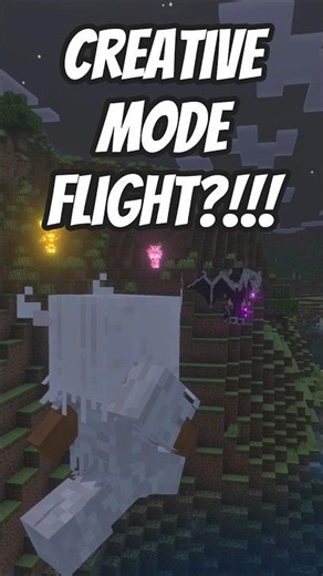 The Ender Dragon Armor Is Basically Creative Mode 😳