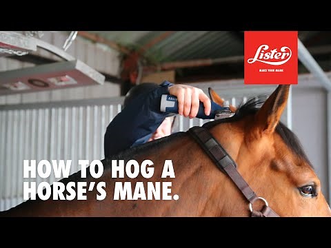 How to hog a horse's mane