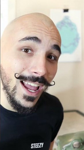 Dumpy the Giant frog climbs wall on command.