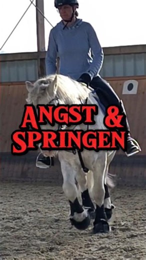 #horse #equestrian #tinker #jumping