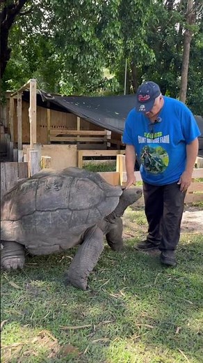 I Raised This Giant Tortoise For 40 Years!