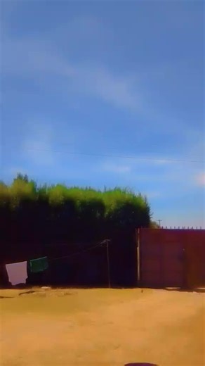 Sharon lee (@85sharonlee)’s videos with original sound - shifra da luxury baibe